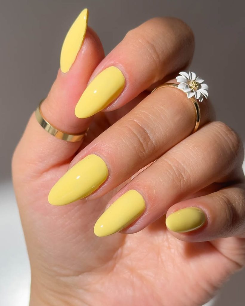 Daisy Shine