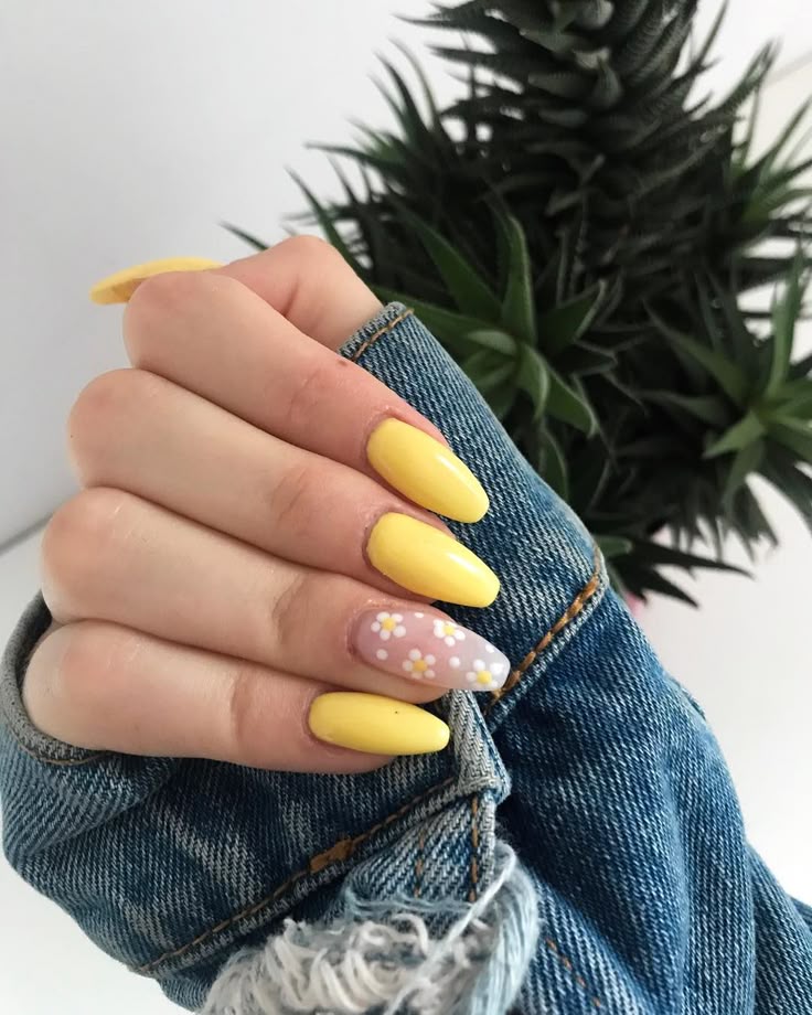 Banana Bliss